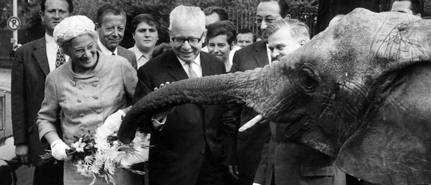 Foto: Hilda und Gustav Heinemann im Berliner Zoo am 31. August 1970.