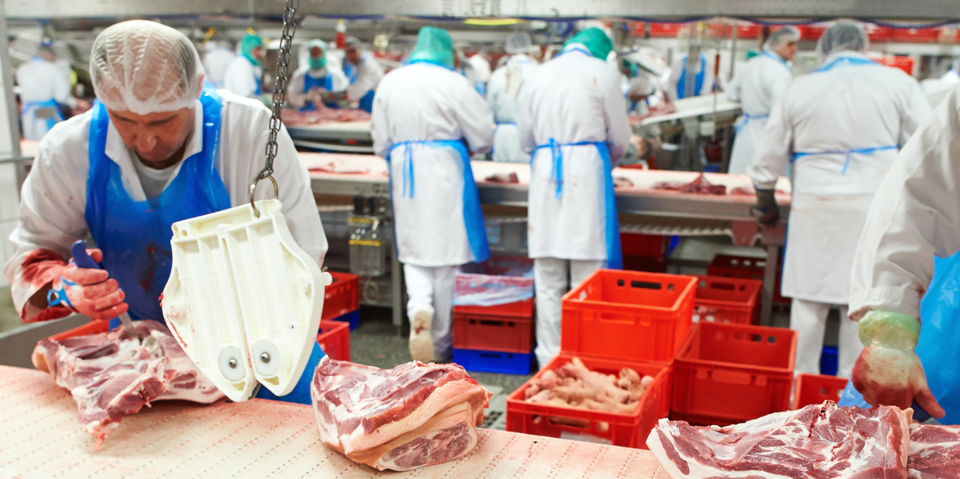 Foto: Mitarbeiter des Fleischunternehmens Tönnies arbeiten an einem Fliesband.