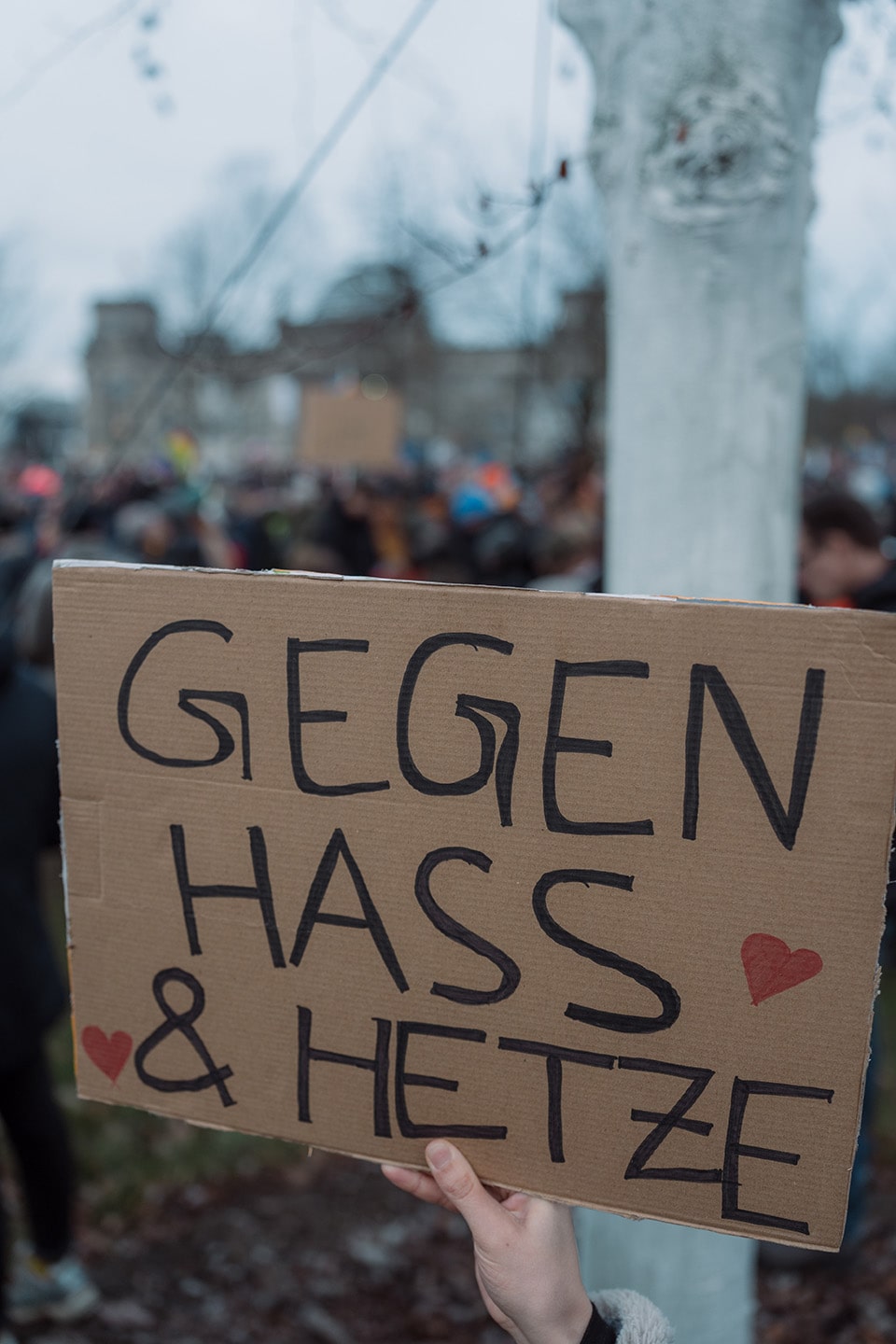 Foto: Schild "Gegen Hass & Hetze" auf Berliner Demo gegen rechts