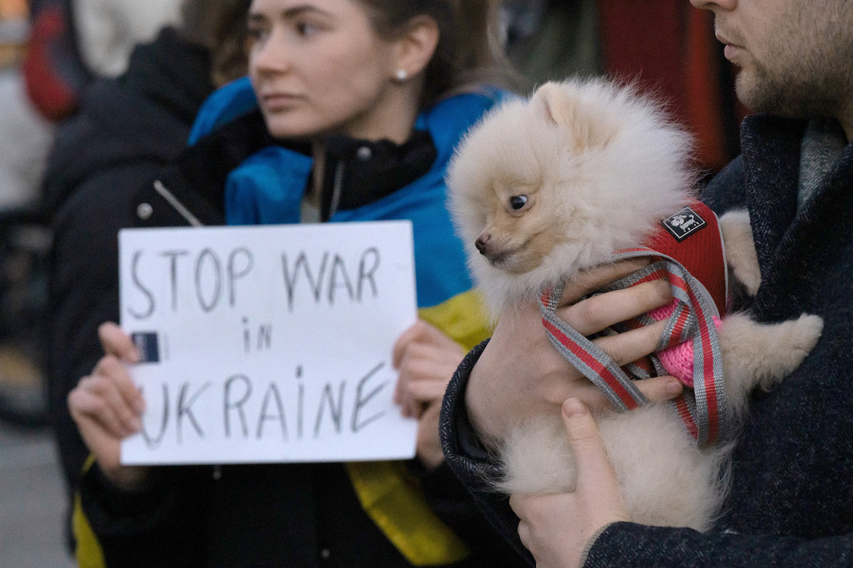 Foto: Ein Mann trägt während einer Demonstration zur Unterstützung der Ukraine nach dem russischen Angriff auf das Land einen Zwergspitz. Dahinter hält eine Frau ein Schild gegen den Krieg in der Ukraine