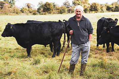 Foto: Landwirt und Kühe
