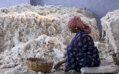 Foto: Eine Frau sortiert Baumwolle für den Baumwollmarkt in Indien, Kolkata