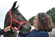 dpa Foto: Andrea Nahles steht neben einem Pferd.