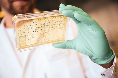 Foto: Mann schaut sich in Labor Träger mit Bakterien an
